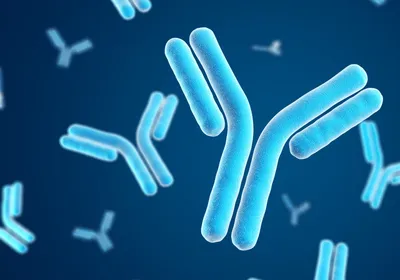 Blue 3D rendered antibodies Blue 3D rendered antibodies