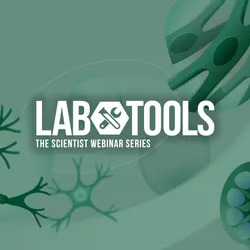 Human iPSC-derived Models for Brain Disease Research