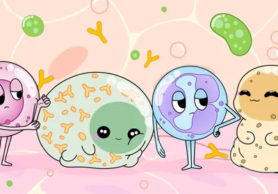 Image of four cartoon immune cells, with two bright-eyed characters and two more sarcastic looking characters.