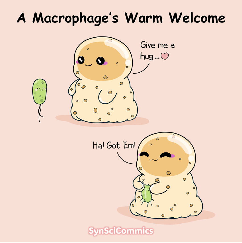Image of a yellow macrophage character hugging a green bacterium. Image of a yellow macrophage character hugging a green bacterium.