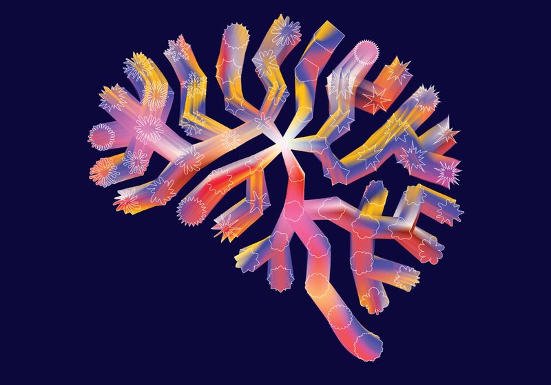 A New Cell Atlas Helps Researchers Navigate the Developing Brain