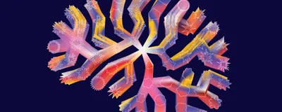 Cartoon showing a multi-colored brainstem with different shapes along the lines that represent cell maturation.