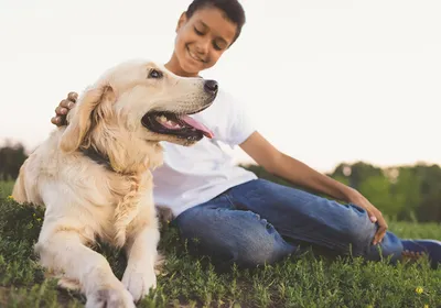 Image of a golden retriever dog with a young teenager sitting on grass.