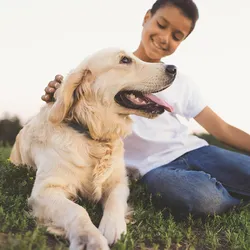 Image of a golden retriever dog with a young teenager sitting on grass.