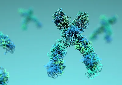 3D visualization of blue and green DNA strands, highlighting the complex helical structure of genetic material.