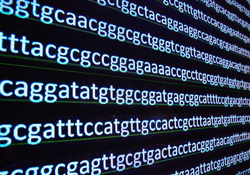 Computer screen showing extensive DNA sequences for chromatin profiling analysis.