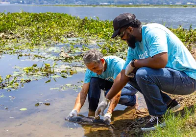 Image of two volunteer scientists catching a fish to collect samples for researchers.
