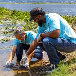 Image of two volunteer scientists catching a fish to collect samples for researchers.
