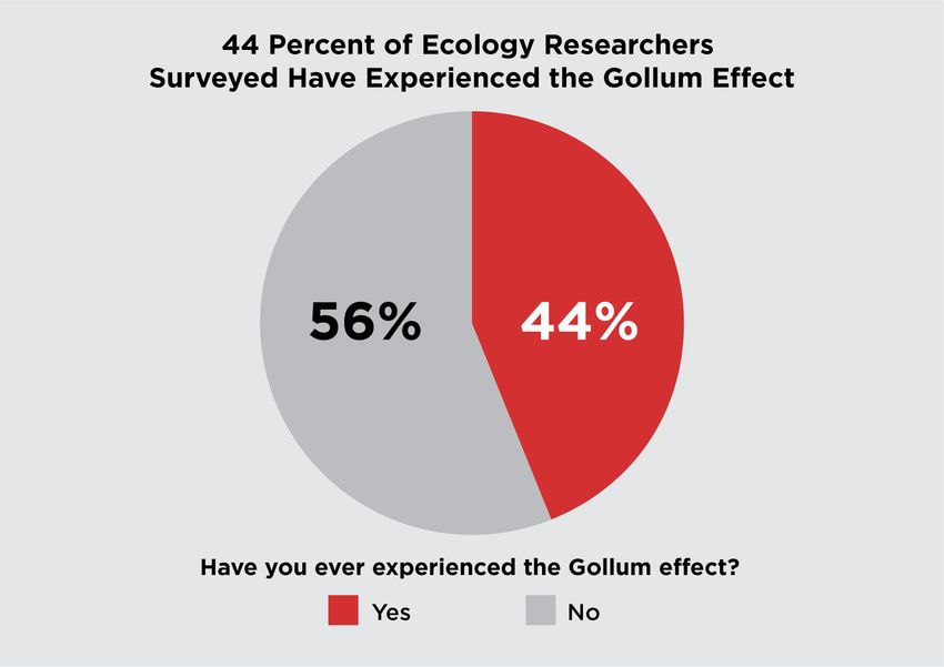 A pie chart titled “44 Percent of Ecology Researchers Surveyed Have Experienced the Gollum Effect.” A red slice (44 percent) represents researchers who have experienced the Gollum effect, while the gray slice (56 percent) represents those who have not. A pie chart titled “44 Percent of Ecology Researchers Surveyed Have Experienced the Gollum Effect.” A red slice (44 percent) represents researchers who have experienced the Gollum effect, while the gray slice (56 percent) represents those who have not.