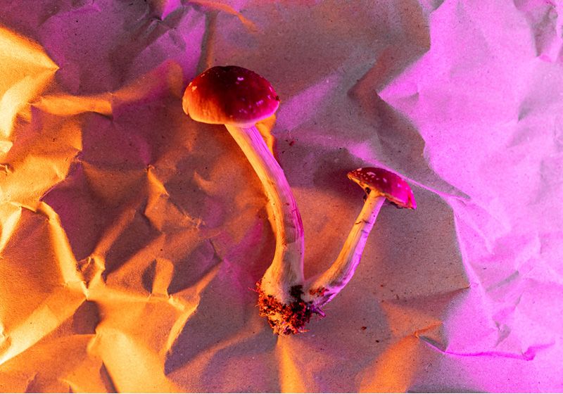 Psychedelic Research Shows Promise for Neurological Conditions
