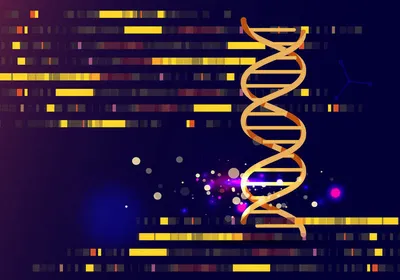 Abstract illustration of a DNA strand. Current human reference genomes do not account for genetic diversity. RNA sequencing uncovered the extent of ancestry bias in transcriptomics.