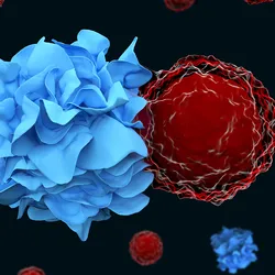 3D illustration of a blue dendritic cell (left) activating a red T cell (right) on a black background with more dendritic cells and T cells behind them. 3D illustration of a blue dendritic cell (left) activating a red T cell (right) on a black background with more dendritic cells and T cells behind them.