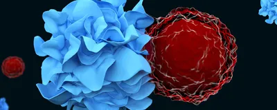 3D illustration of a blue dendritic cell (left) activating a red T cell (right) on a black background with more dendritic cells and T cells behind them.