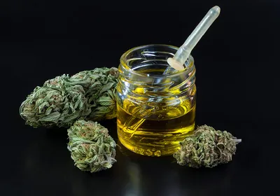 Image of marijuana buds surrounding a small jar of cannabis oil.