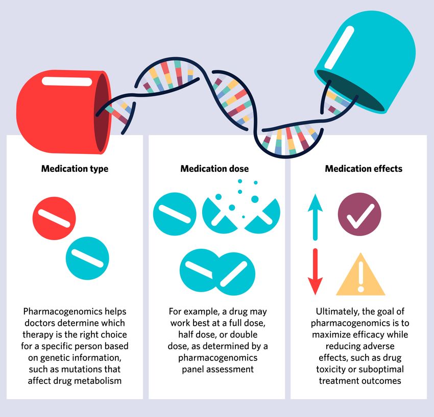 Infographic explaining pharmacogenomics and its applications. Pharmacogenomics helps doctors determine which therapy is the right choice for a specific person based on genetic information, such as mutations that affect drug metabolism. For example, a drug may work best at a full dose, half dose, or double dose, as determined by a pharmacogenomics panel assessment. Ultimately, the goal of pharmacogenomics is to maximize efficacy while reducing adverse effects, such as drug toxicity or suboptimal treatment outcomes.