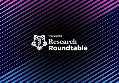 Blue and purple abstract vector background with diagonal lines