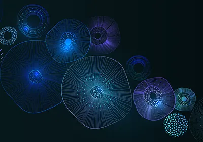Abstract illustration of spheres with multiple layers, representing endoderm, ectoderm, and mesoderm derived organoids