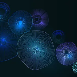 Abstract illustration of spheres with multiple layers, representing endoderm, ectoderm, and mesoderm derived organoids