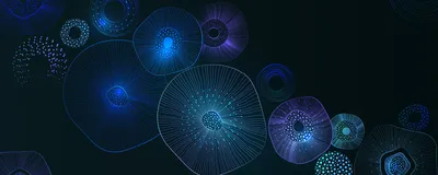 Abstract illustration of spheres with multiple layers, representing endoderm, ectoderm, and mesoderm derived organoids