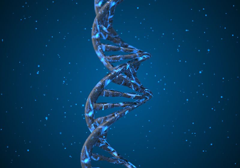 PCR Assays Capture Gene Expression Insights | The Scientist