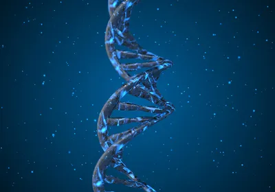 3D rendered DNA double helix