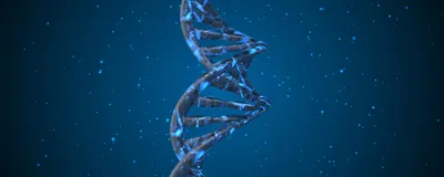 3D rendered DNA double helix 3D rendered DNA double helix