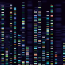 Image of genomic analysis visualization.