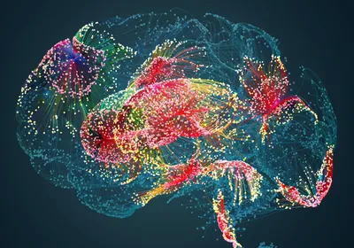 Image of a brain comprised of colored dots to signify brain activity and denote brain areas.