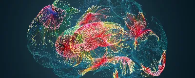 Image of a brain comprised of colored dots to signify brain activity and denote brain areas.