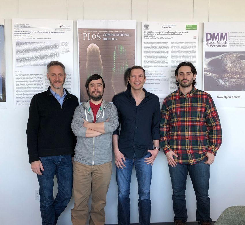 A group of four men who developed xenobots standing side by side.