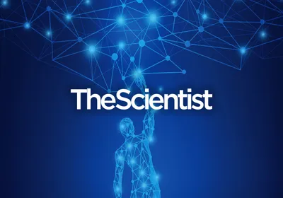 Exploring Cellular Organization with Spatial Proteomics