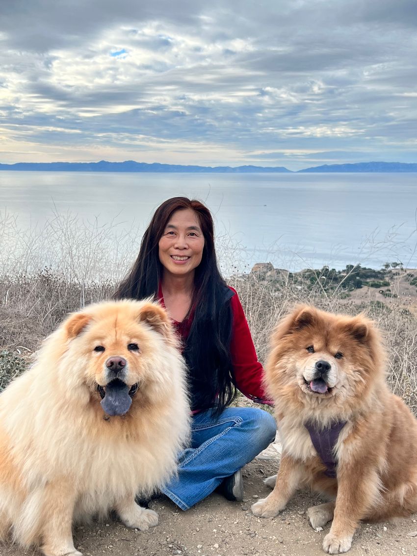 Photograph of Constance Chu, a surgeon scientist at Stanford University, sitting on the ground in front of a lake with her two dogs, both Chow Chows. Chu has long, straight black hair and is wearing a long-sleeved red shirt and blue jeans. She is smiling at the camera.