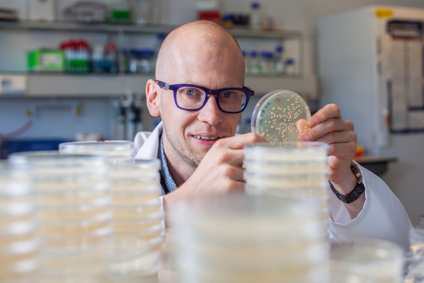 Kevin Verstrepen, wearing glasses, a patterned shirt, and a white lab coat, sits in his laboratory bench behind a stack of agar plates. He’s holding one up and pointing at it.
