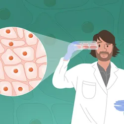An illustration of James Trosko, now a cancer biologist at Michigan State University, with long brown hair and close beard wearing a white lab coat on the right of the image. He is holding a cell culture plate and looking at it inquiringly. On the left is a call out showing where, in the cell culture dish, pink, irregular cells are sitting close to one another. The background is an image of these same cells in a green overlay.
