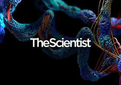 Skip the Wait for Protein Stability Data with Aunty