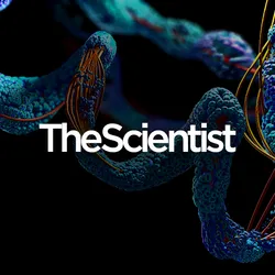 Skip the Wait for Protein Stability Data with Aunty