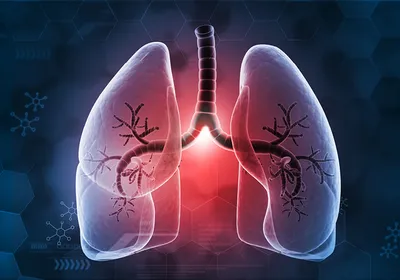 Image of the lungs against a blue background.