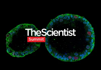 Human-Relevant In Vitro Models Enable Predictive Drug Discovery Human-Relevant In Vitro Models Enable Predictive Drug Discovery