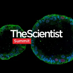 Human-Relevant In Vitro Models Enable Predictive Drug Discovery Human-Relevant In Vitro Models Enable Predictive Drug Discovery