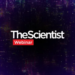 Redefining Immunology Through Advanced Technologies