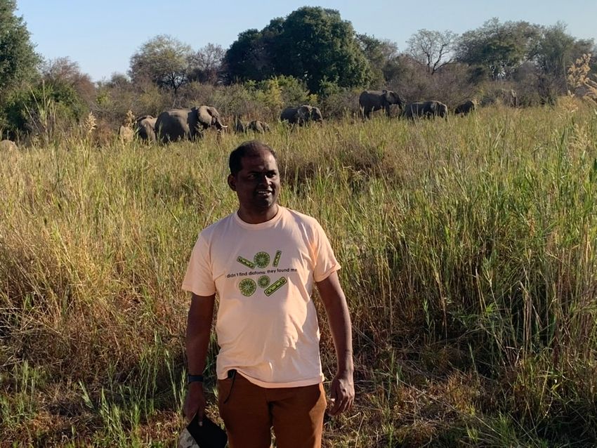 A photo of Karthick Balasubramanian in a field in front of elephants. He wears a white t-shirt with green diatom pictures that reads “I didn’t find diatoms; they found me.”