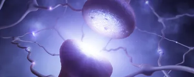 A neuronal synapse is depicted in the center with neural projections around it in purple.