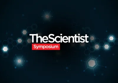 Emerging Therapeutic Strategies in Oncology