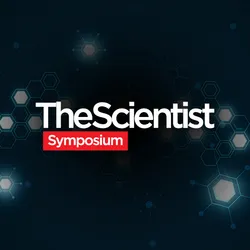 Emerging Therapeutic Strategies in Oncology