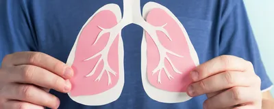 Image of a person in a blue shirt holding up a simple paper model of lungs in front of their chest.