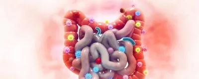 An illustration of the gut along with commensal microbes. Modifying these bacteria helped develop a biosensor to monitor gut health in mice.