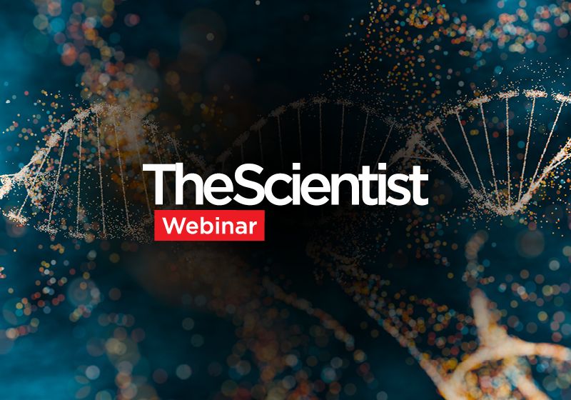 Close-up of a droplet-based PCR machine in a laboratory setting
