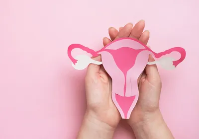 A pair of women’s hands holds a depiction of a uterus with the ovaries shown in white over a pink background.