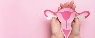 A pair of women’s hands holds a depiction of a uterus with the ovaries shown in white over a pink background.