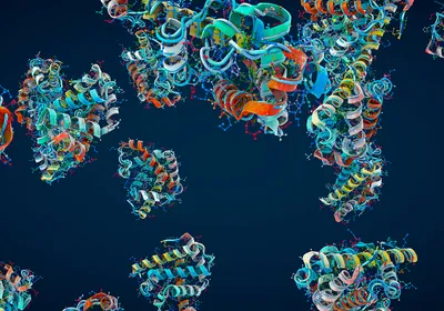Graphic of amino acid chains folded into proteins